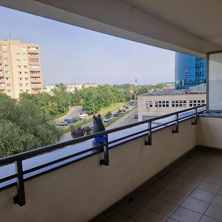 Dodo Acomodo 8 Krasków