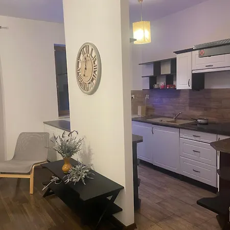 Dodo Acomodo 8 Krakow